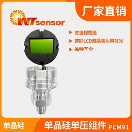 PCM91单晶硅单压组件