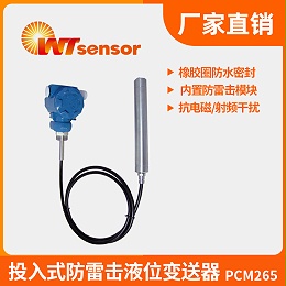 投入式防雷液位变送器 PCM265